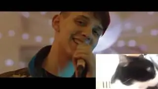 РЕАКЦИЯ КОТА НА КЛИП 