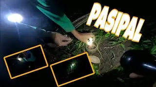 PASIPAL