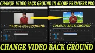 Adobe Premiere Pro Video Background Change || How to Change Video Back ground in Adobe Premiere Pro