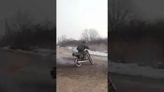ЗиД сова 175