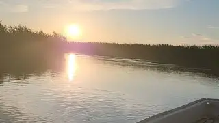 Рыбалка в дельте реки Или. Маяк Академия Рыбалки. Сазан. Сом.