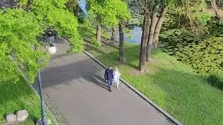 A relaxing day in a green park