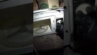 ШТРЭБУХ нашёл на помойке микроволновку