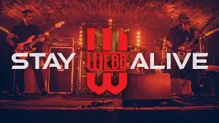 WEBB | Stay Alive | Official Live Footage | Synced