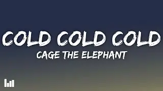 Cage The Elephant - Cold Cold Cold (Lyrics)