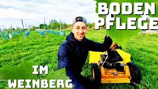 Bodenpflege im Weinberg im Frühjahr | Mulchen, Fräsen und Düngen | + Special Guests