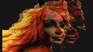 CFK montonera