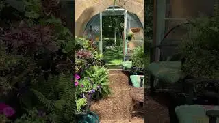 Come inside the greenhouse!