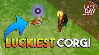 CORGI'S PERKS  |  SEASON REWARDS  |  LAST DAY ON EARTH: SURVIVAL