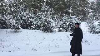 Северодонецк. Зима 2019