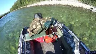 Без названия 2