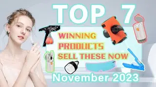 Wefulfil Top Winning Products