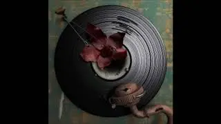 dexy lovecraft  --  dexter