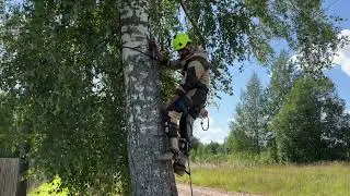 Подъем в гаффах на дерево 🌳