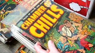 The #1 BEST Comic Book Collection Purchase We Have Ever Had!
