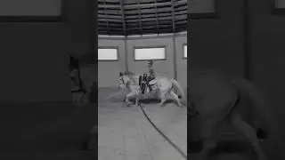 Вольтижировка сборы 