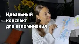 Идеальный конспект для запоминания