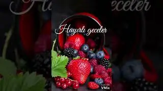 Kısa videolar