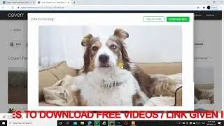Top 10 Websites for Copyright Free Video Clips 2020 | How to Download Copyright Free Videos
