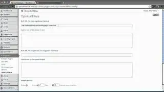 How To Configure OptinExitBlaze
