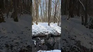 What to do if you fall into icy water? 