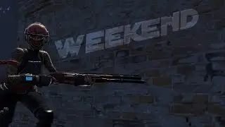 Weekend 🌴 | An Ozzy Montage