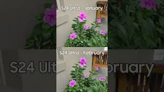 Samsung FIXED photos on the Galaxy S24 Ultra! 