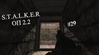 S.T.A.L.K.E.R - ОП 2.2 СТАЛКЕР | Проходим сюжет | Вступаем в Монолит|  #29