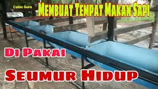 How to Make a Cow Shed and Cow Feeder from Used Drums