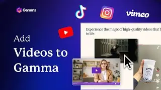 How to Add Videos to Gamma Presentations: YouTube, Vimeo, Instagram and More!