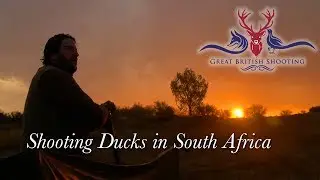 Shooting Ducks in South Africa