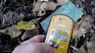Речпорт г.Припять