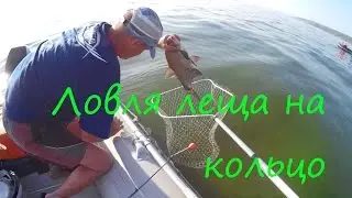 Ловля леща на кольцо. Ульяновск 2016