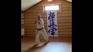 #karate #hanshi #kyokushinkarate #kyokushin #karate #yakunin