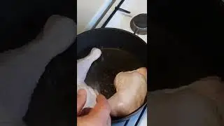 Курица