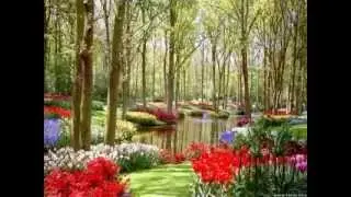 BUKIT BERBUNGA _ Uci Bing Slamet  _ (Foto: Garden Park)