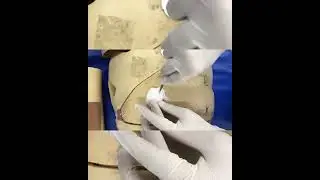 Aula prática de preparo do corpo pós-morte ✨