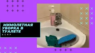 Быстрая уборка в туалете. АСМР. Сделаем чисто между делом.