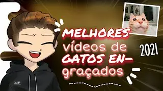 MELHORES VÍDEOS DE GATOS ENGRAÇADOS 2021!|Irmãos Rich