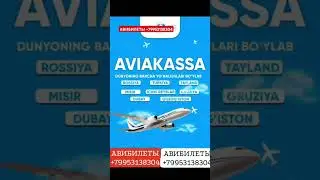 WATSAP АВИБИЛЕТЫ +79953138304 #tiktok #automobile #youtube #топ #avtomobil #avto #avtotuning#beruniy