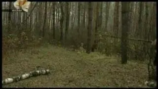 Грибник - 