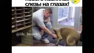 СОБАКА НАШЛА НОВОГО ХОЗЯИНА