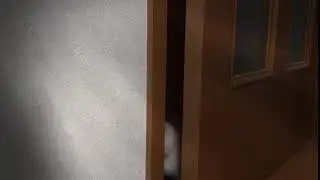 meomeocl 119 clip12