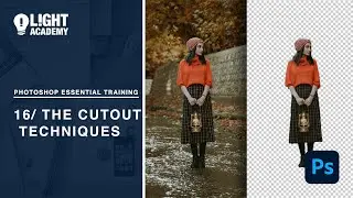 Photoshop Essential Training 16 The Cutout Techniques