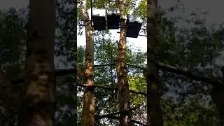 В КАКИЕ ЛОВУШКИ ЛУЧШЕ ЛОВИТЬ БРОДЯЧИЕ РОИ! 8 июня 2020 г.