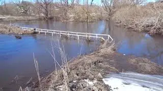 Собакин