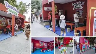 Video 2 DN