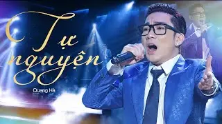 Tự Nguyện - Quang Hà | Nếu là chim, tôi sẽ là loài bồ câu trắng... | Live Performance