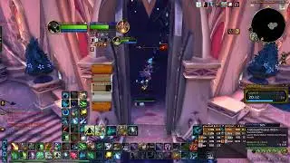 Court of Stars M+4