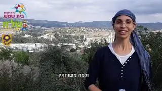 המשלט המשותף